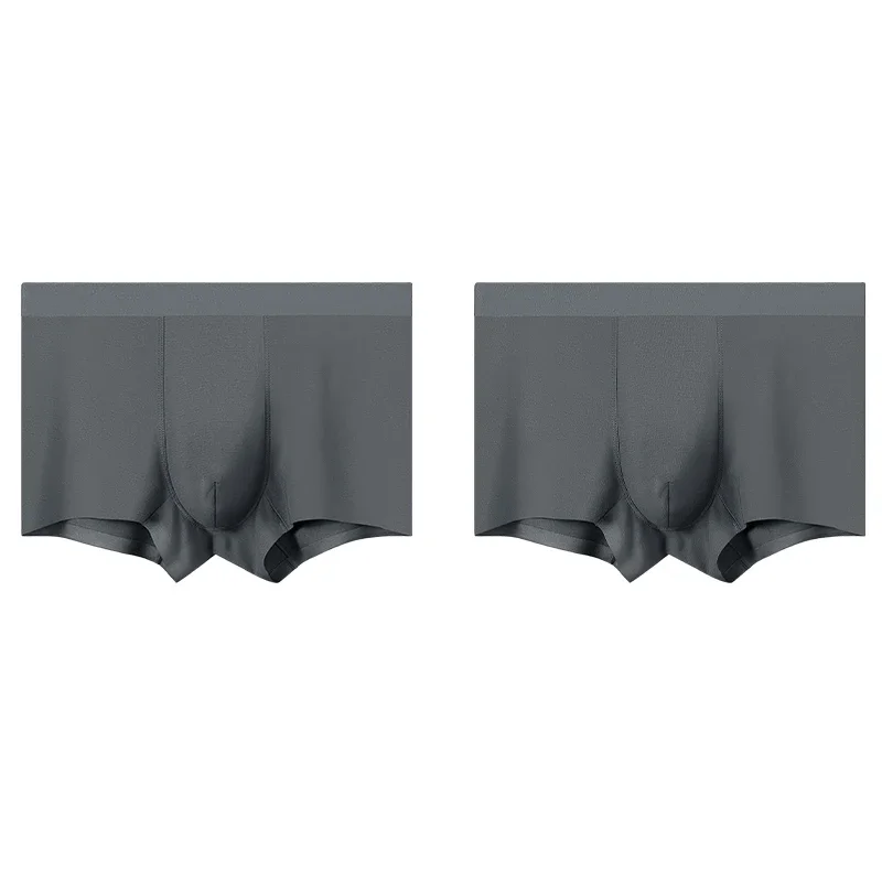 

2PCSMen's Underwear - Silk Men's Anti-Bacterial Underpants with Flat Crotch, Comfortable for Sports, Breathable