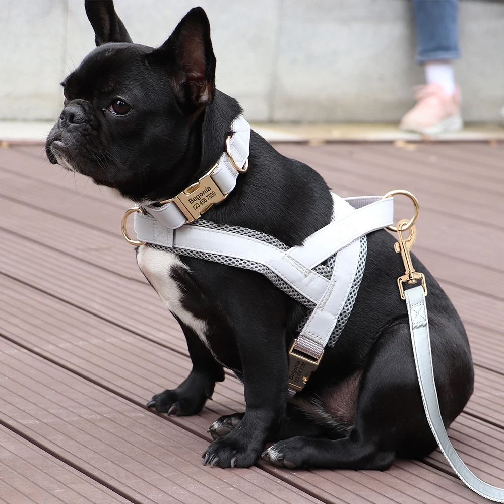 Personalized Leather Dog Collar Harness Leash Set Pet Mesh Vest Harness Customized ID Pet Leads For Small Medium Large Dogs