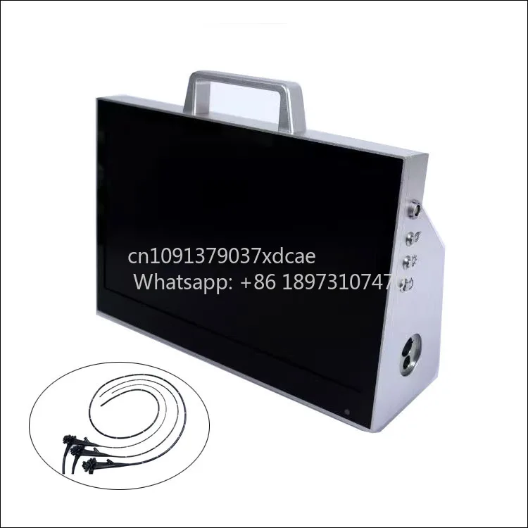 2026 New Large Animal Veterinary Endoscope For Horse Cow Bovine Equine Gastrointestinal Check