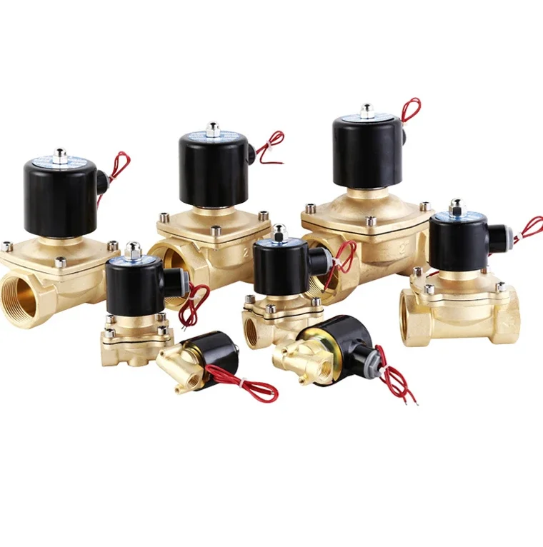 Waterproof non-heating normally closed control gas water valve copper switch AC220V24V2/3/4/6 minute 1 inch
