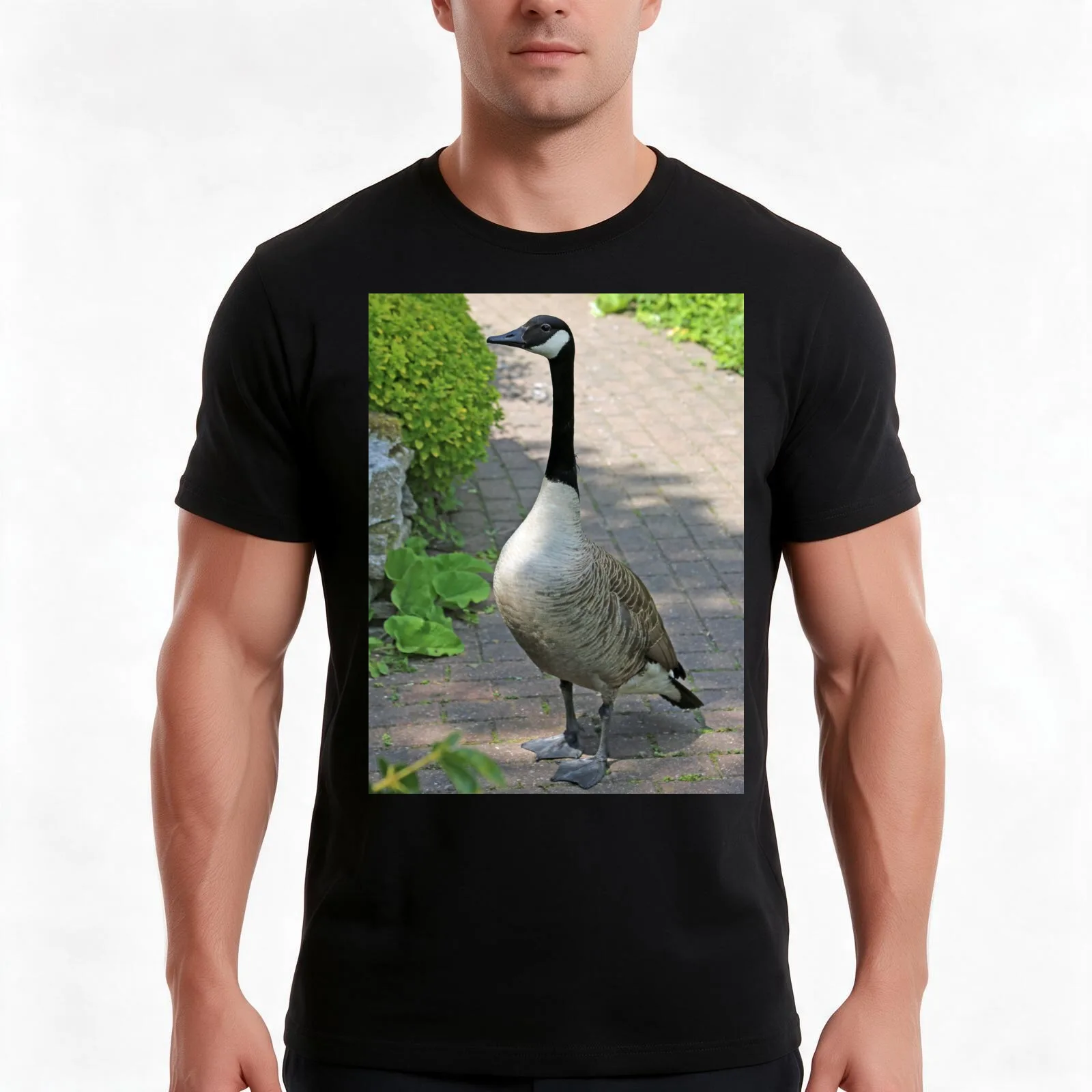 None shall pass T-Shirt, Summer Casual Cotton Tee, Oversized Streetwear Tops, Vintage Graphic Print, Loose Fit Short Sleeve