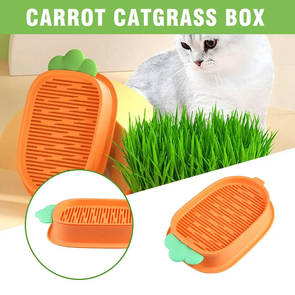 Carrot Catgrass Box Orange PP Material Seedling Tray Catnip Seeds Nursery Soilless Hydroponic Without Grass Cat S7H2