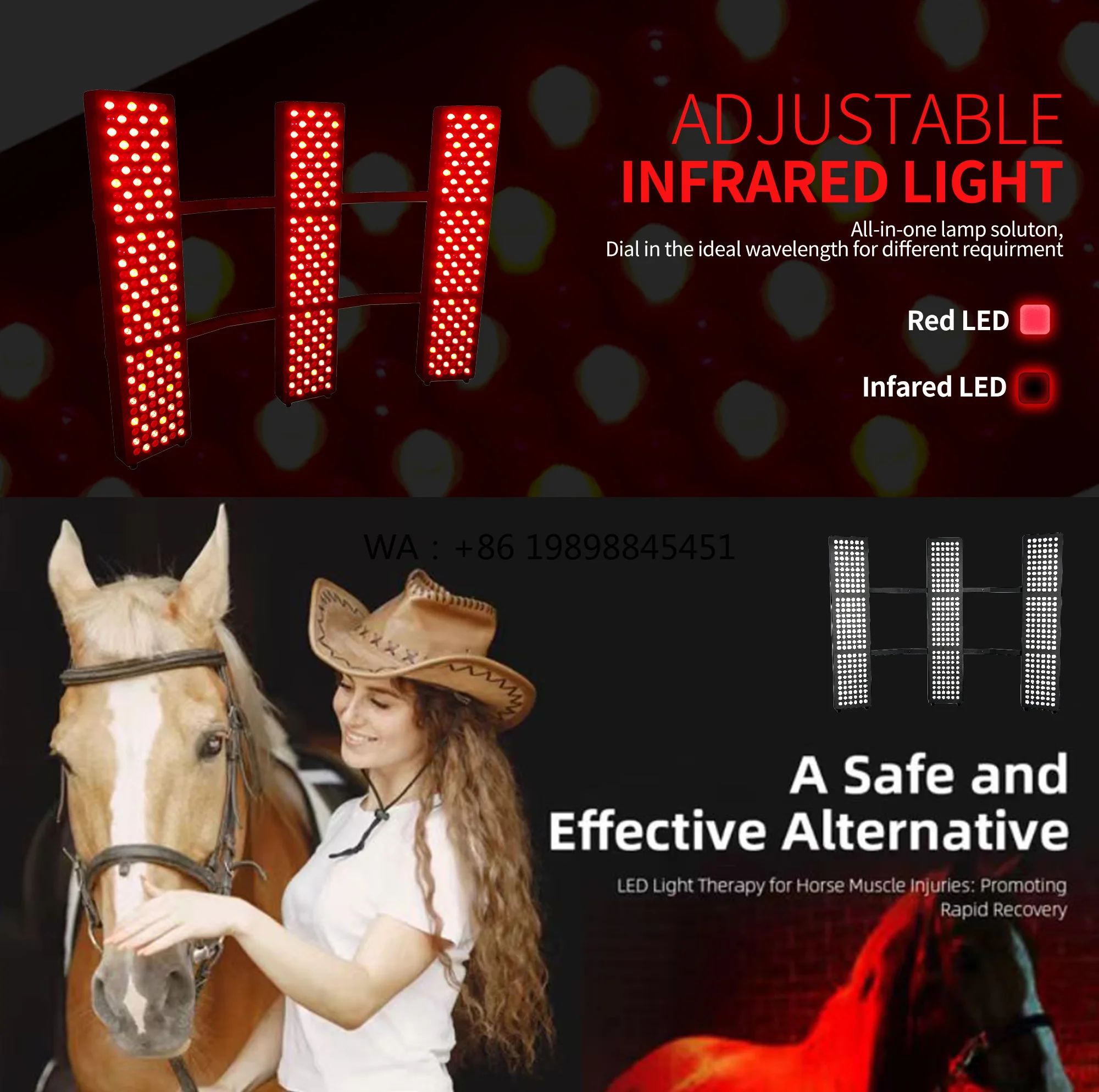 Professional Manufacturer Veterinary Instrument for Horses High Quality Equine Solarium Red Light