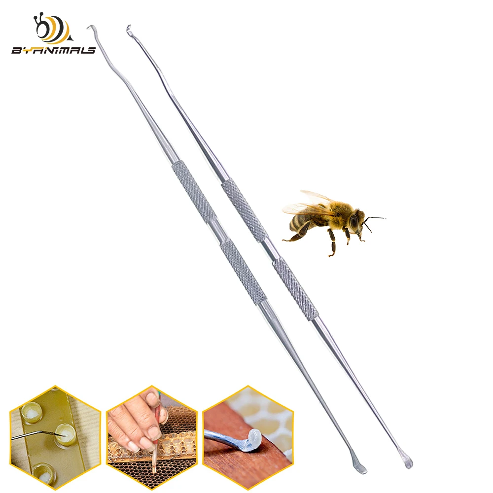 

Two End Straight Stainless Steel Queen Larva Cell Grafting Transferring Pen Scoop Tiny Egg From Cups Rearing In Colony Breeding