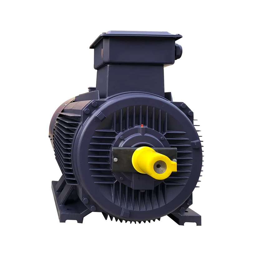 Low Voltage Variable Frequency Electric Motor AC Electric Motor with VFD