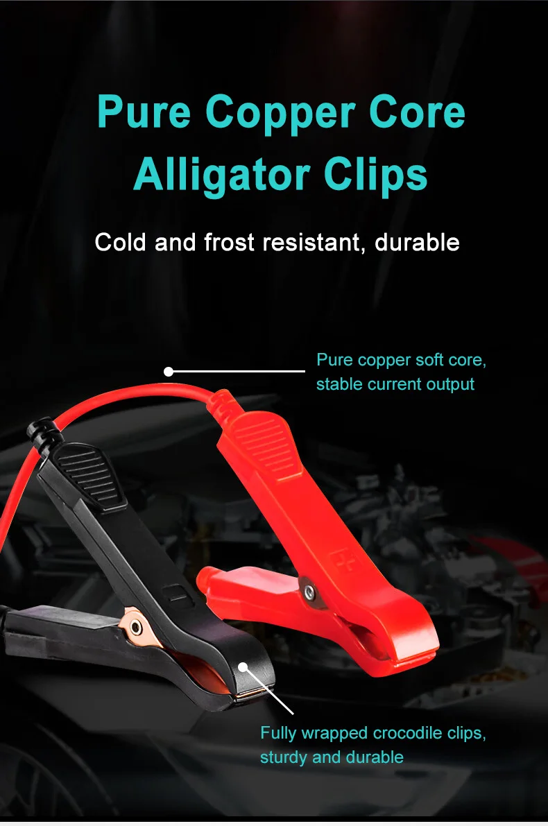 EAFC 6A /8A 12V Intelligentes Autobatterieladegerät Auto- und Motorradbatterieleinheit Blei-Säure-Batterie-Reparatur LCD-Display – Detail 19