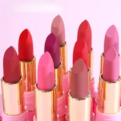 10Colors Lipstick Matte Waterproof Velvet Pigment Rouge Waterproof Long Lasting Lips Professional Cosmetics Beauty Nude Red Pink