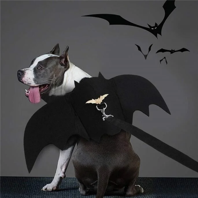 

Pet Clothes Pet Dog Bat Wings Halloween Creative Personality Costumes Black Cute Pet Halloween Bat Decorative Clothes