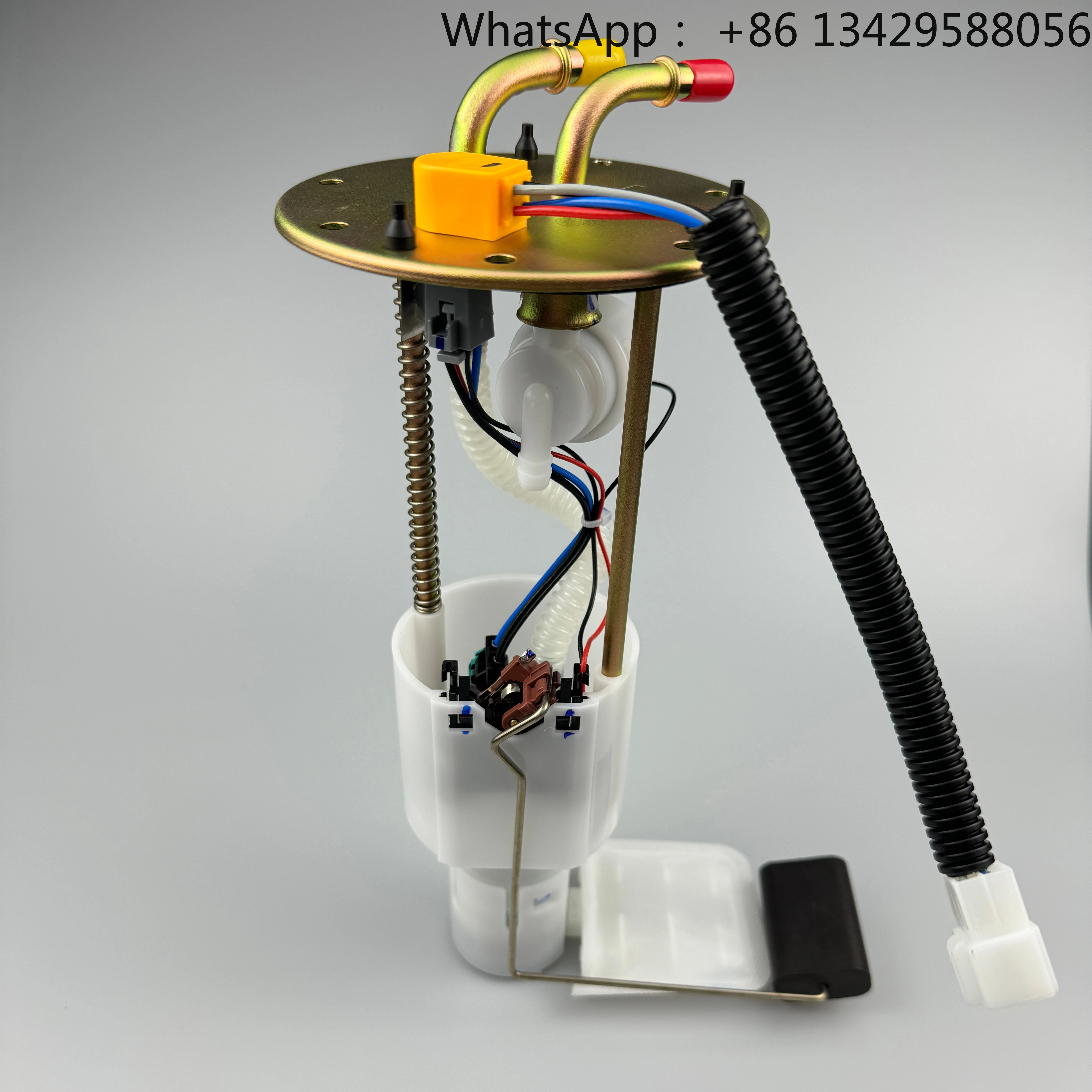 

11060100-B01-000 Fuel Pump Assembly for Baic Car Fuel Pumps Assy
