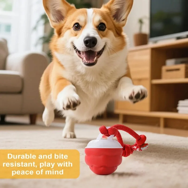 

Электрический катящийся шарик для собак, 3-режимные игрушки для собак, автоматические шарики, жевательные принадлежности для щенков, тихие аксессуары для упражнений для парковой луги