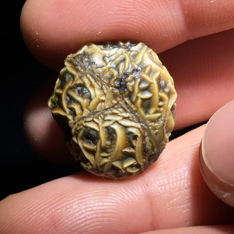 Natural Alxa Gobi Stone Agate original Jade Select a single Mongolian vein stone Strange and beautiful stone view 6