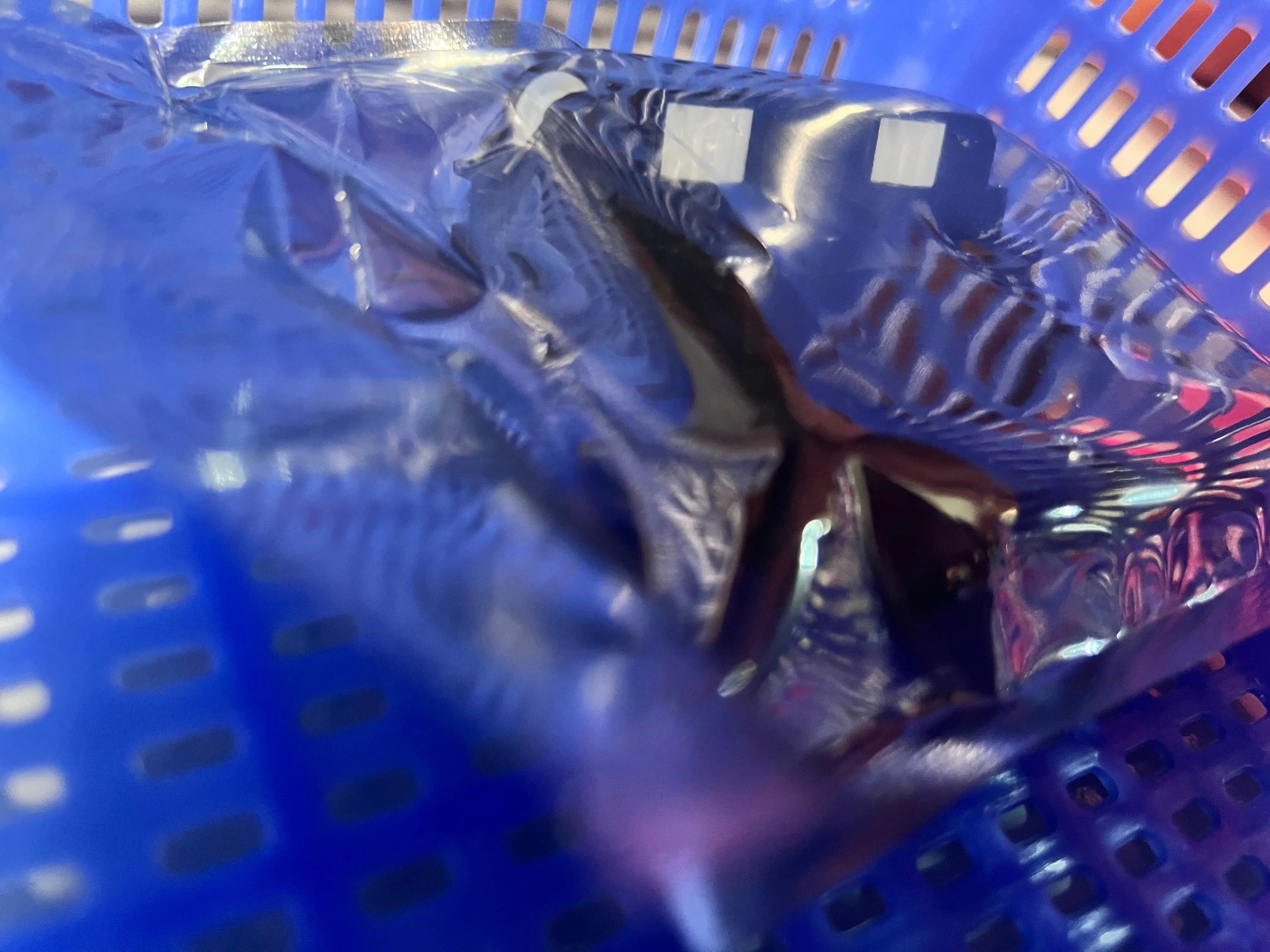 

Original New T520 Cutter Unit Kit for HP T120 T125 T525 T130 T210 T230 T250 T530 T630 T650 T730 T830 CQ890-67066 CQ890-60238