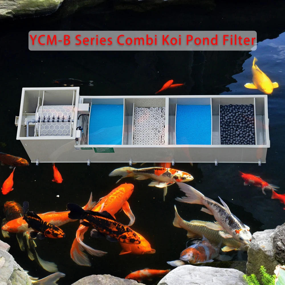 เครื่องกรองชีวภาพแบบครบวงจรสำห - All Fish In Aquarium บทวิจารณ์และราคา