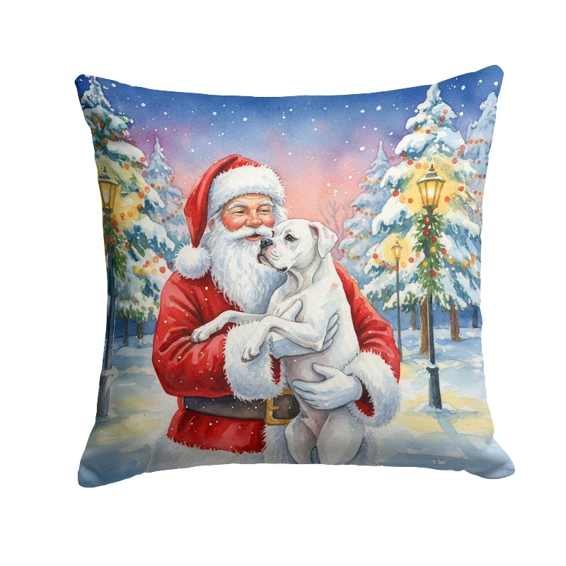 

Santa Claus Throw Pillow - Soft Comfortable Fade-Resistant Decorative Cushion Pad Indoor Outdoor Pillow for Sofa Bed Patio Home
