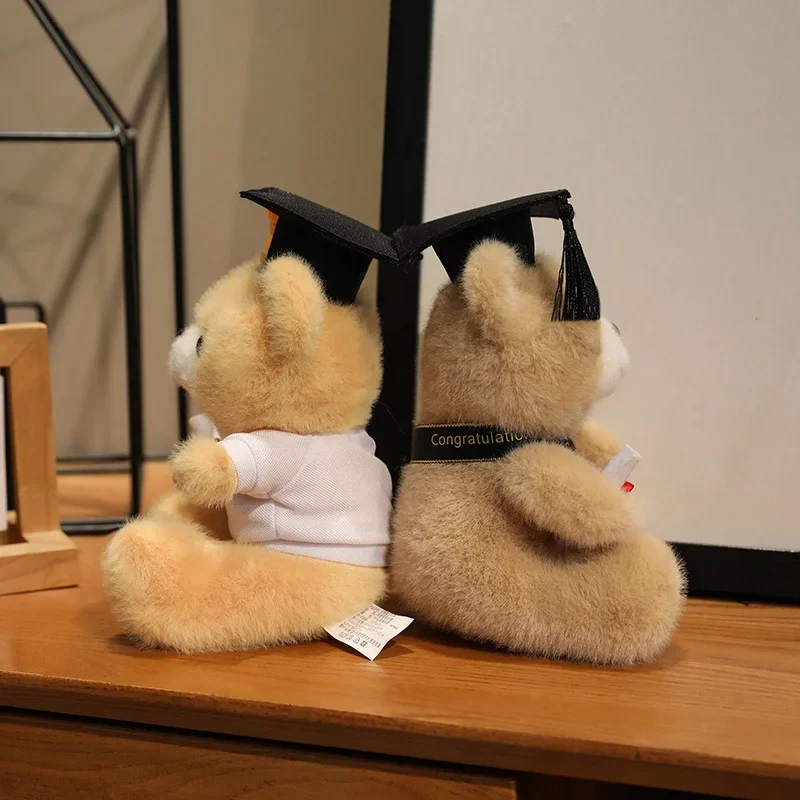 18 cm Nette Arzt Kappe Bär Puppe Kleidung Bär Kuscheltiere Plüsch Spielzeug Jungen Mädchen Studenten Abschluss Geschenk Hause Dekoration – Detail 15