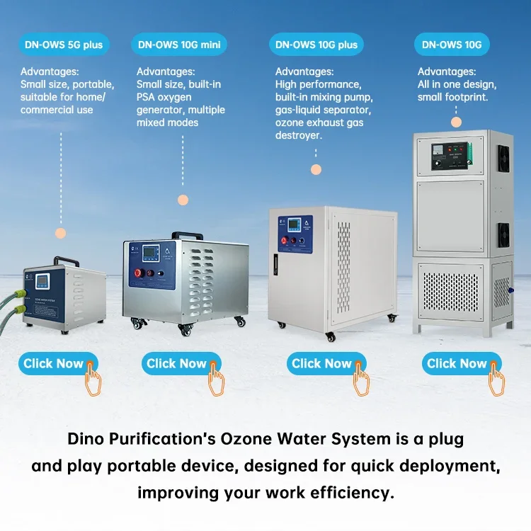 TLF Spa Ozon Wasser Generator Wäsche Ozon Generator Haus Ozon System