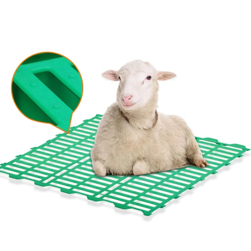 Durable 600*600mm Goat Slat Flooring Plastic Goat Slatted Floor Used For Goat House