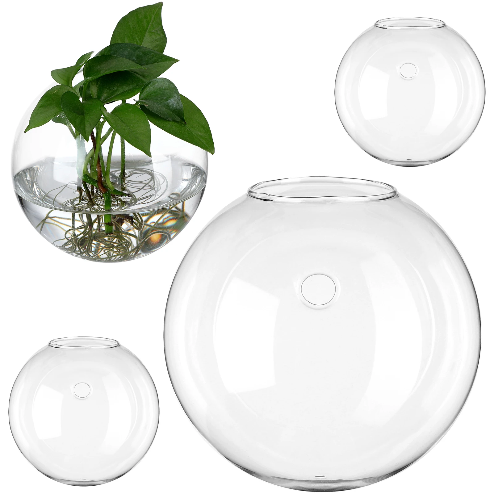

4pcs Mounted Glass Vase Planters High Wall Decors Hanging Globe Flower Container Indoor Plants Decor