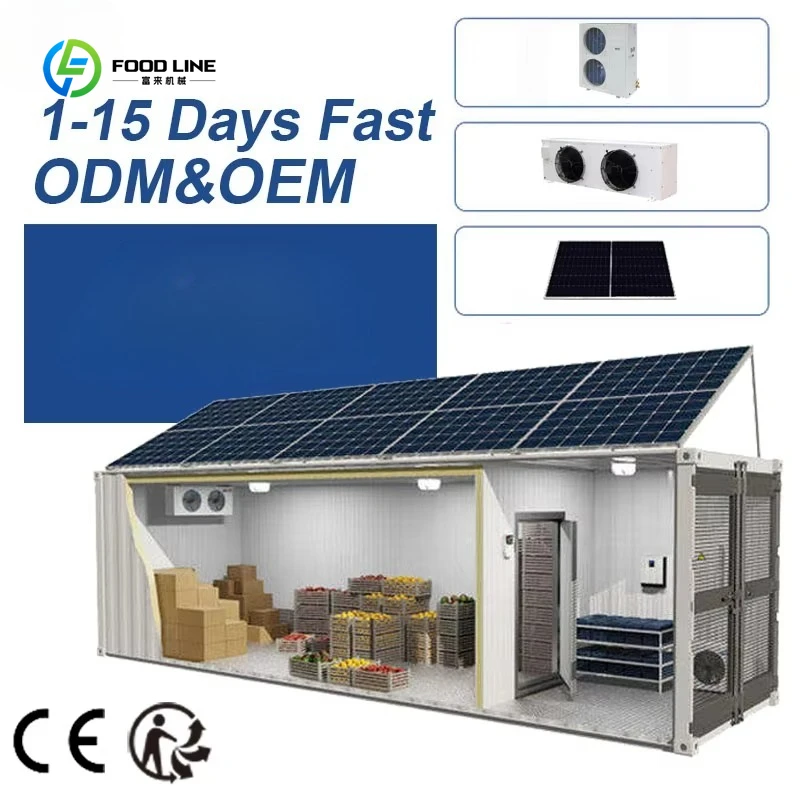 Customized Solar Powered Container Cold Rooms Freezer Room Air-Cooled Cold Storage for Meat