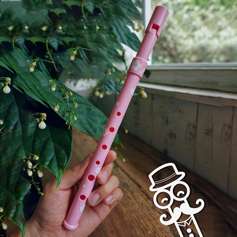 Irish Whistle Flute C/D Tone Resin Flutes Beginner Adults Performance Practice 6 Hole Flutes Traditional Playing Vertical Flute