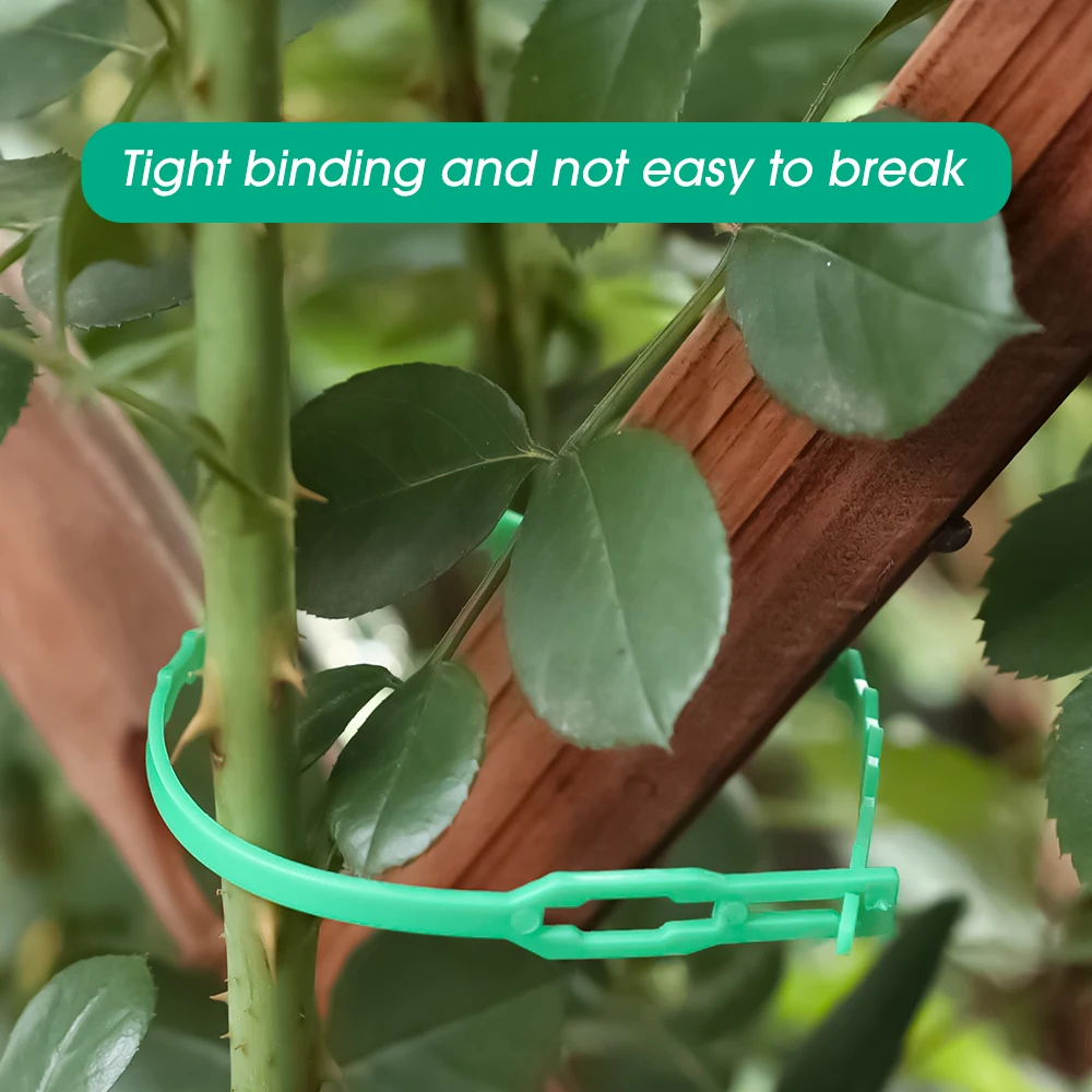 Adjustable Plant Cable Ties Reusable Self-locking Plant Vine Climbing Support Fastener Loop Wrap Rings Garden Supplies Wholesale