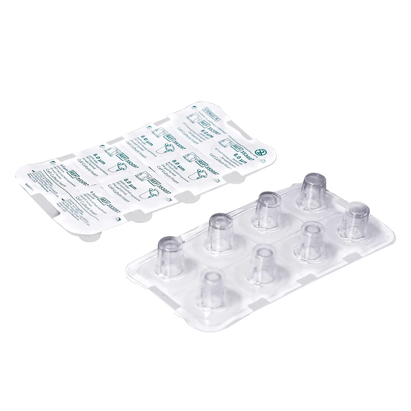 

353097 24-Well Plate Cell Culture Pool, Cell Chamber Pool, Semitransparent PET Membrane