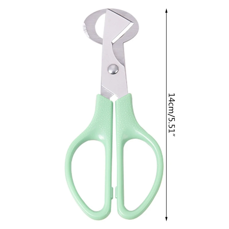 10 Miếng Thép Không Gỉ Cho Chim Bồ Câu Chim Chim Cút Trứng Cắt Dụng Cụ Mở Trứng Chim Cút Cắt Kéo Nhà Bếp Bấm Dụng Cụ