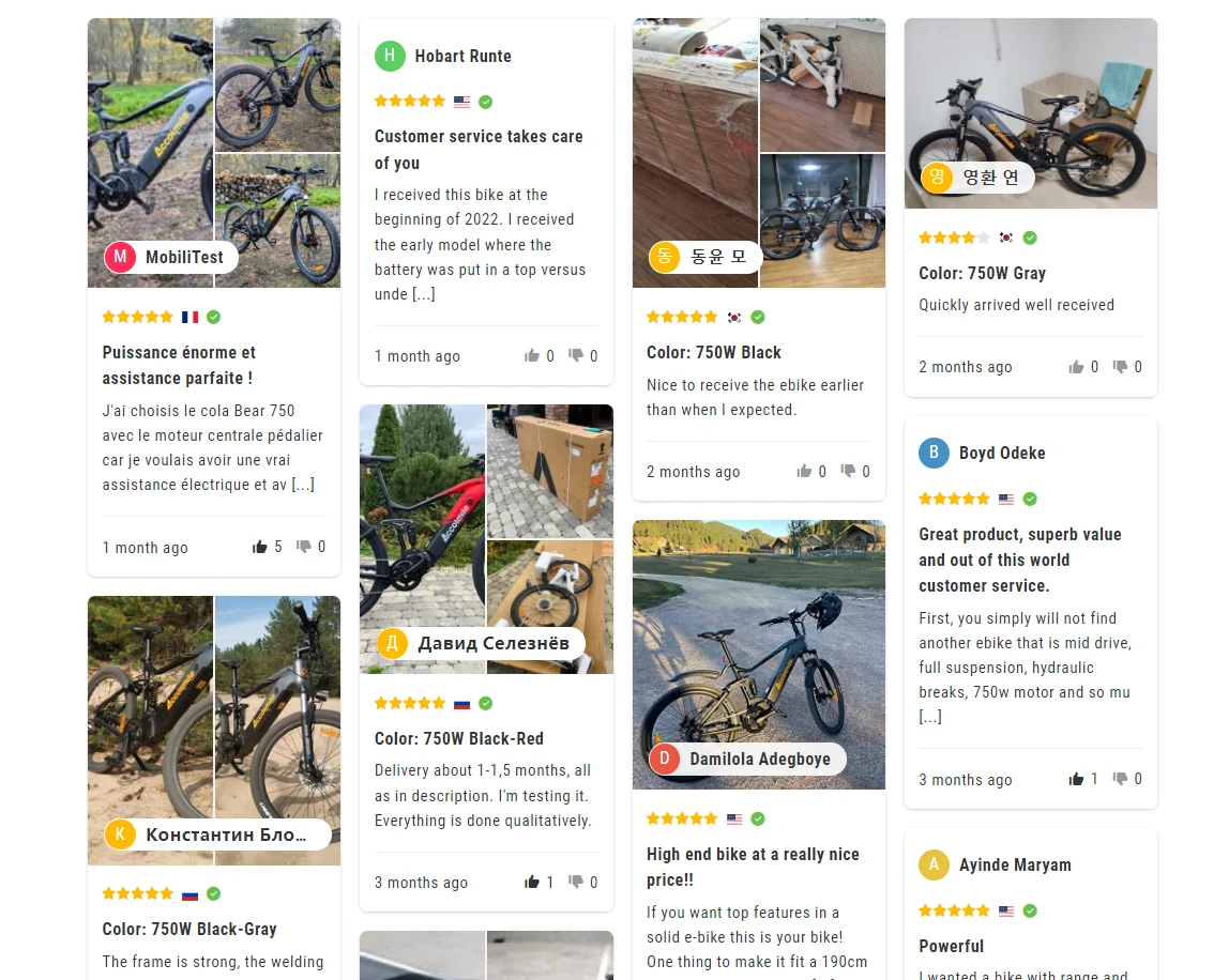 [3-Tage-Lieferung] Varstrom Cola Bear 2.0 Elektro-Mountainbike E-Bike Offroad 960Wh Akku 750W Mittelmotor Fahrrad Herren Trekking E-MTB – Detail 15