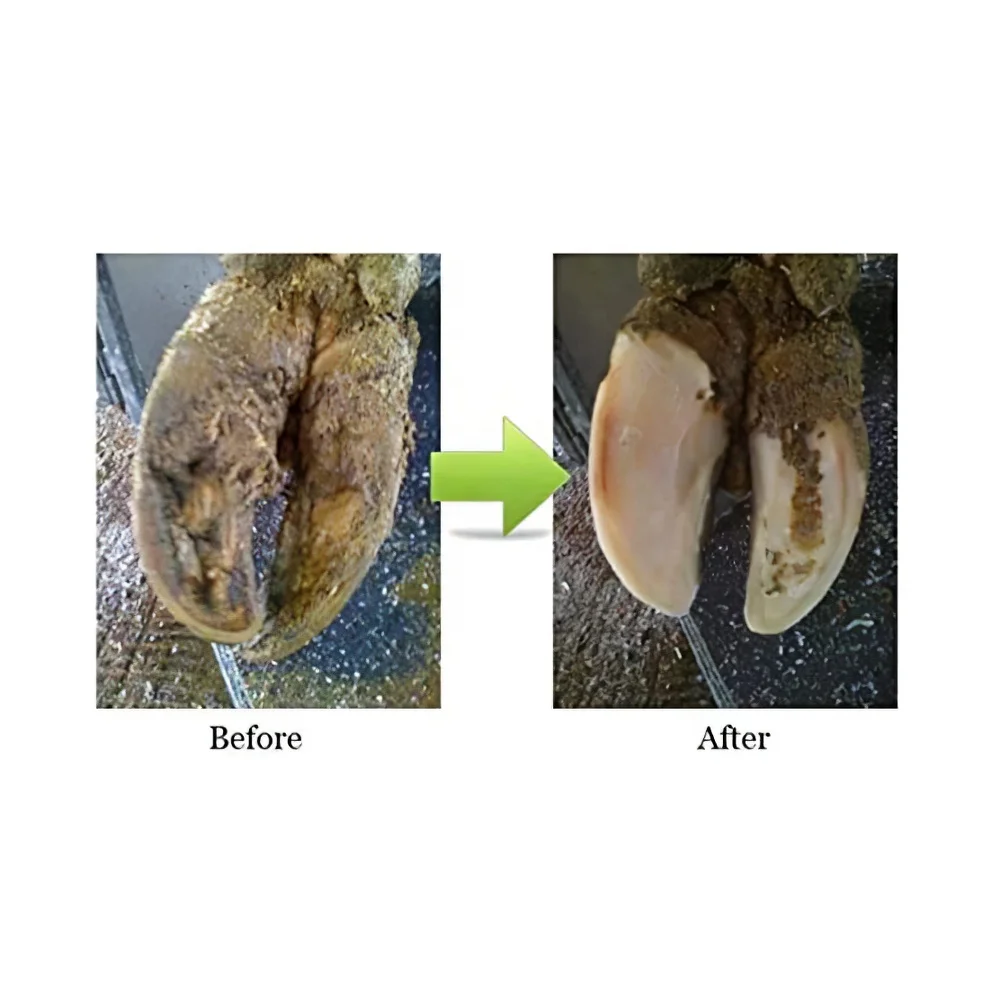 家畜牛牛蹄トリミングツール 6 シャープな刃ホーントリマーディスク牛牛蹄トリミングカッター刃