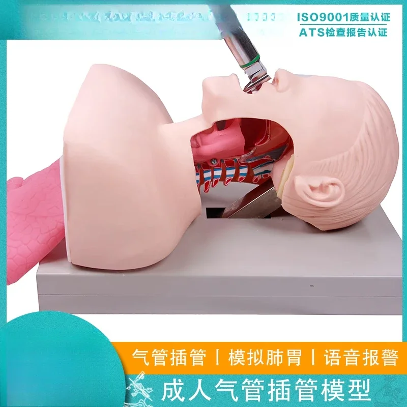 J50 Advanced Human Endotracheal Intubation Training Model Airway Management Techniques Nursing Operation