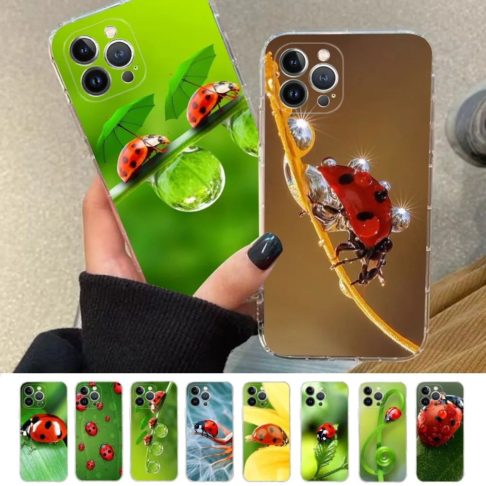 Ladybug Beetle Phone Case For iPhone 14 13 12 11 Pro Max XS X XR SE 2020 6 7 8 Plus Mini Protective Shell