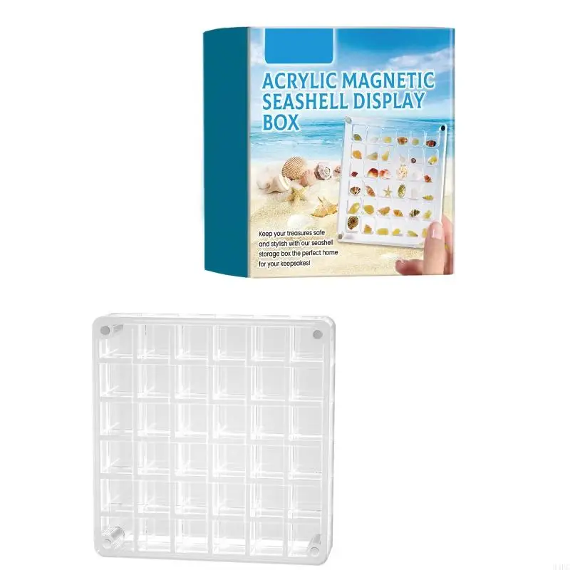 94PC Acrylic Shells Display Case Dustproof Moisture Proof Seashells Holder for Collectors Seashells Presentation Box