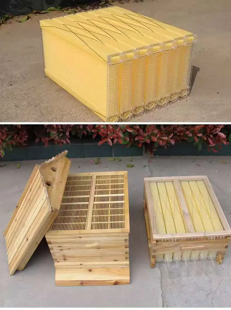 Golden Palace-Ruche à Flux existent, Cadre à 2 Ruches, Super Boîte, 7 Pièces