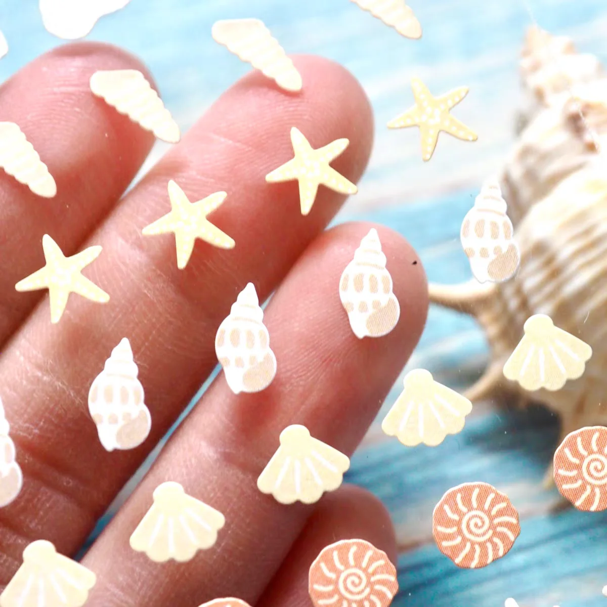 Korean Import Suatelier Mini Sea Star Shell Conch Paper Stickers Scrapbooking Diy Journaling Diary Decor Stationery Sticker 131
