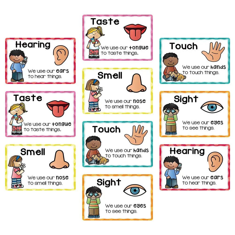 2-conjuntos-de-flashcards-para-a-primeira-infancia-posteres-educacionais-desenvolvimento-cognitivo-aprendizagem-visual-para-criancas-pequenas-pre-escola