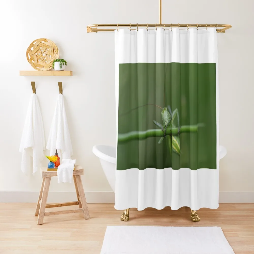 

Your beautifull eyes Shower Curtain Modern Accessory Bathrooms Modern Showers For Bathroom Bathroom Fabric Curtain