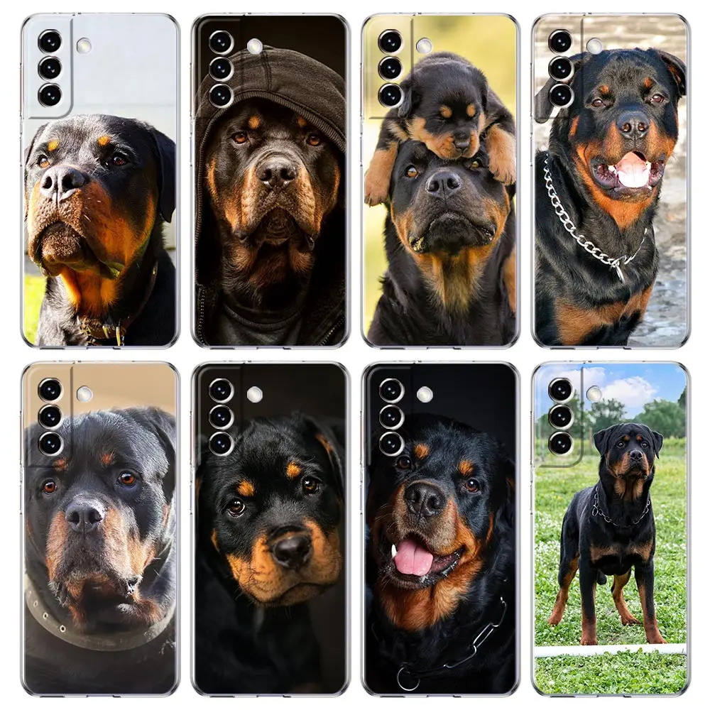 Rottweiler Dog Clear Silicone Phone Case For Samsung Galaxy S23 S22 5G S20 Ultra S21 FE 5G S10E S9 S8 S10 Plus Soft Back Cover