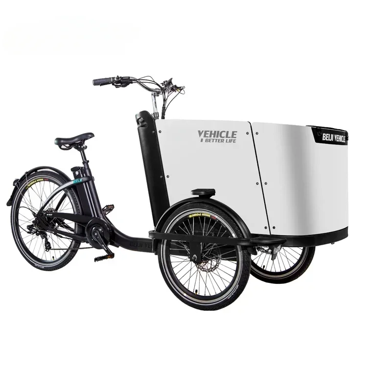 250W Electric Cargo Bike with Electric Assist 36V 12.8ah Tricycle,7 Speed Gears 3 Wheel Bicycle,Hydraulic Disc Brake Bakfiets