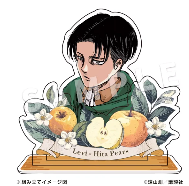 Anime Attack On Tit…