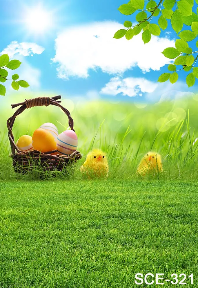 Backgrounds Natural Scene Photography Spring Easter Holiday Butterfly Flowers Grassland Backyard Eggs Blossom Floral Backdrops