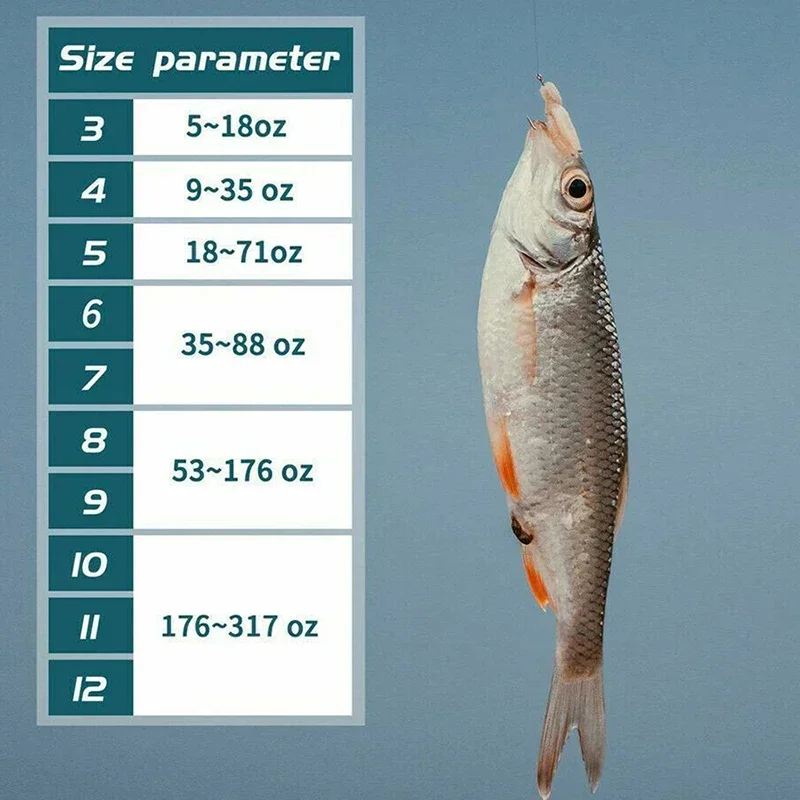 50–1600 Stück/Box Angelhaken, Kohlenstoffstahl, stark, scharf, silberfarben, Kreis-Angelhaken, 3 # -12 # Jig Stacheldraht Pesca Tragbares Ködergerät – Detail 5