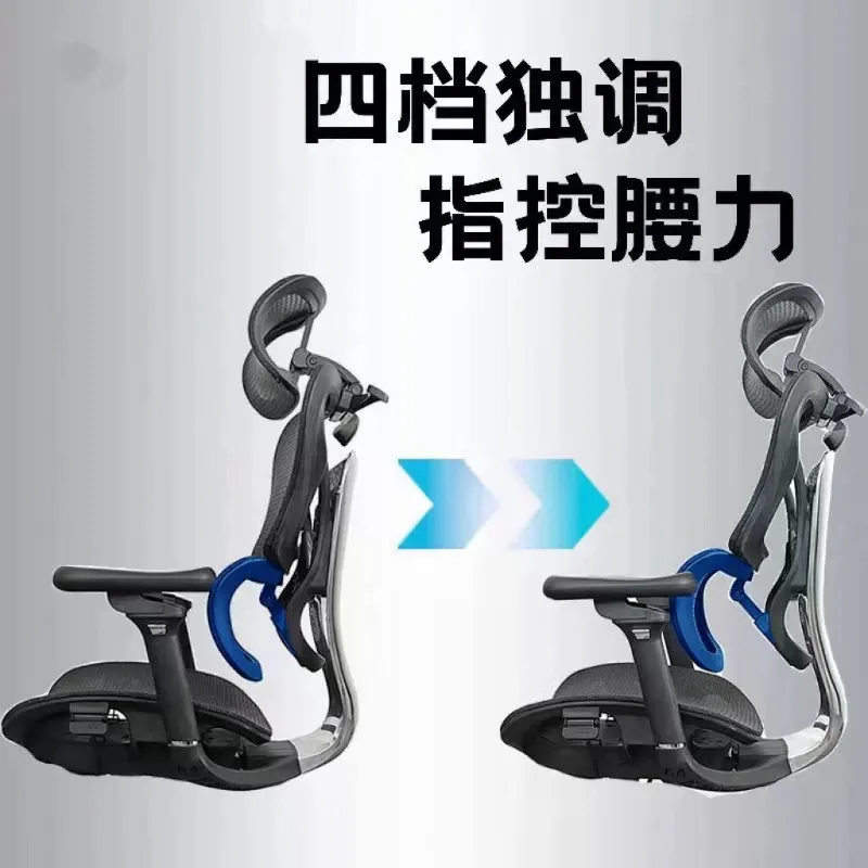Adjustable Lumbar Support Ergonomic Office Chair, Home Student Computer Seat, Comfortable for Long Sitting