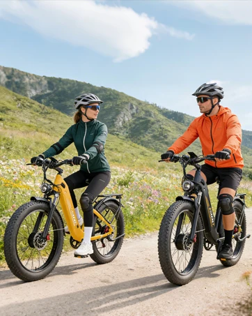Dual Motor Ebike