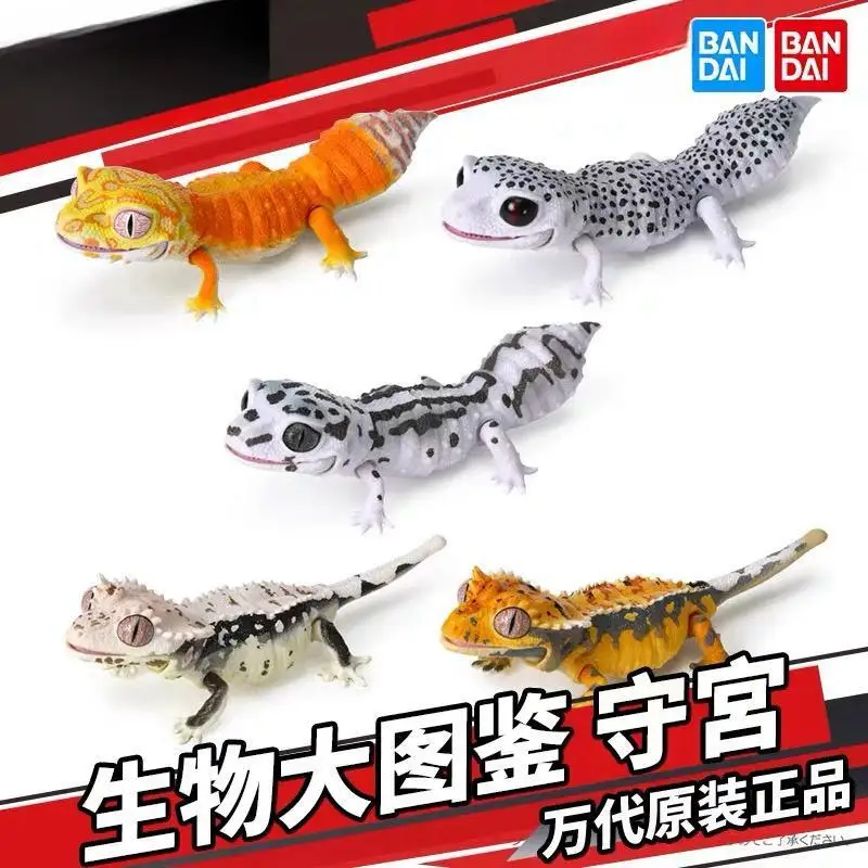 

Bandai Original The Diverysity Of Life On Earth Giant Simulation Gecko Lizard Best Leopard Geckos Anime Action Figure Gifts