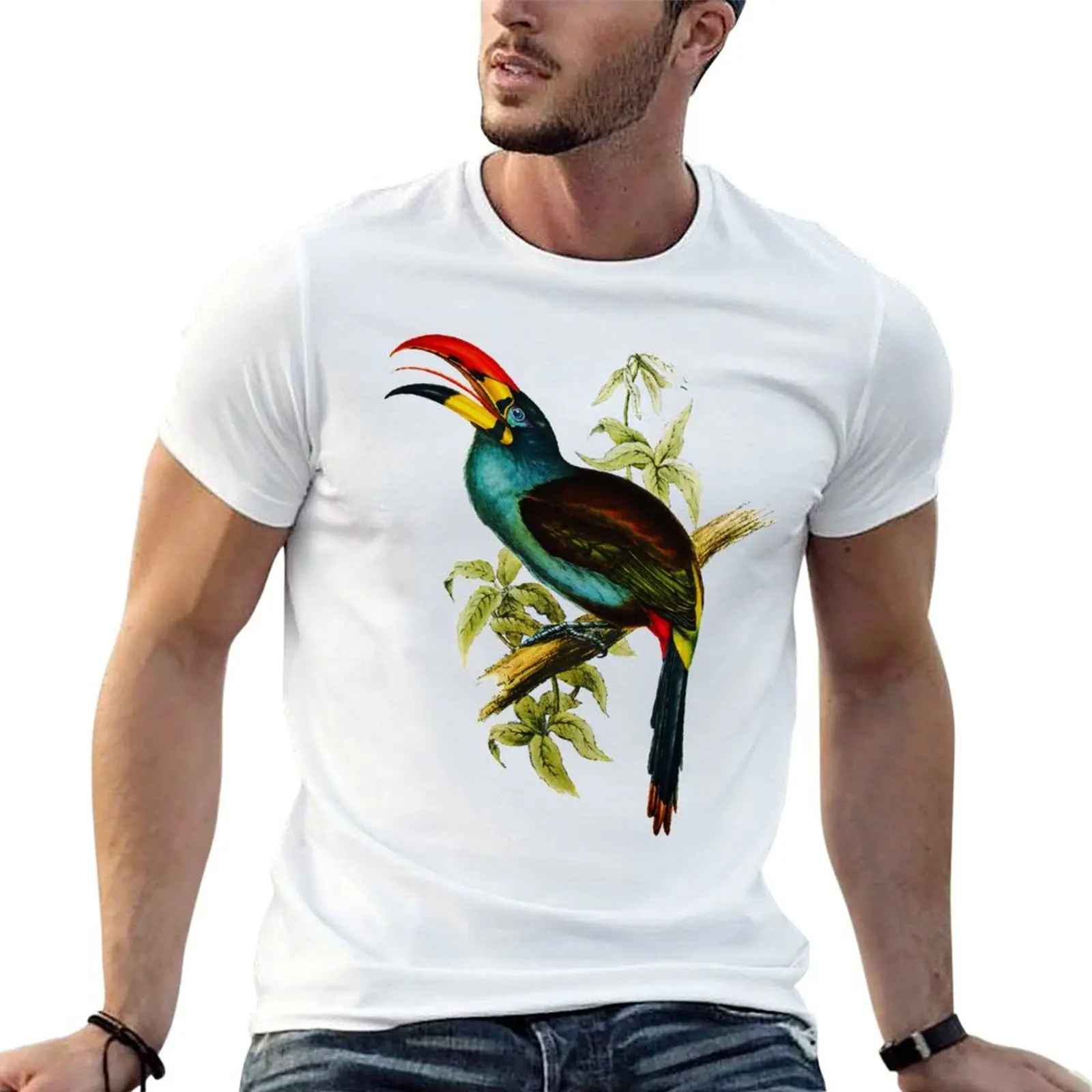 

Grey-breasted Mountain-toucan (Andigena hypoglauca) T-Shirt black cotton t-shirt plain for man package t shirts designer T-Shirt