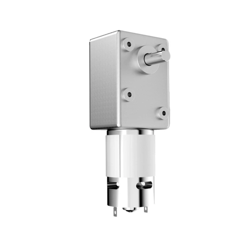 

5882-775 Worm gear DC deceleration micro motor 12V large torque forward and reverse brush motor 24V