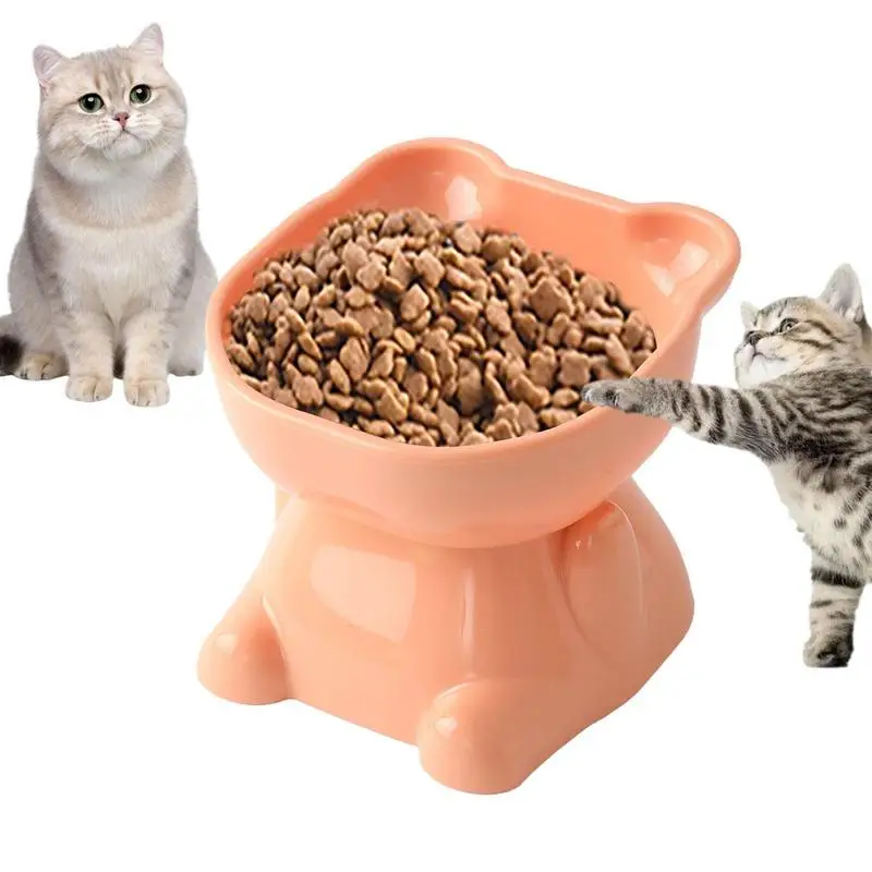 Tilted Cat Bowl 15Tilt Elevated Cat Bowls Spill Proof Dog Bowl Cute Cat Food Bowl For Food And Water Large Capacity Dog Dishes