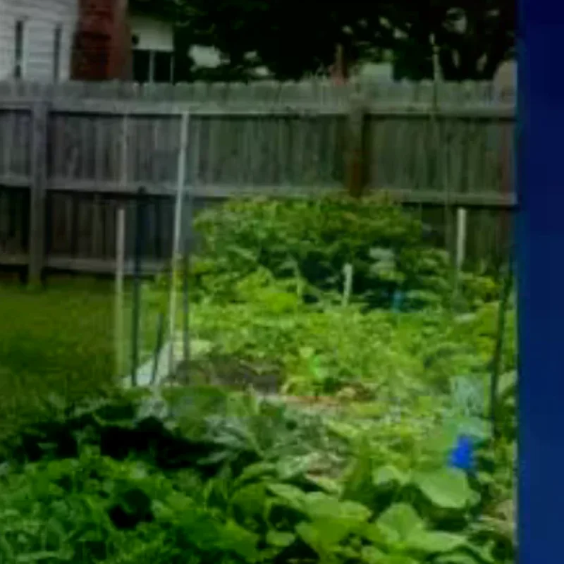 

Self Priming Siphon Hose No-Drill Overflow Pipe Auto Drain And Fill Rainwater Transfer Overflow Pipe Tools Garden Hose Hook