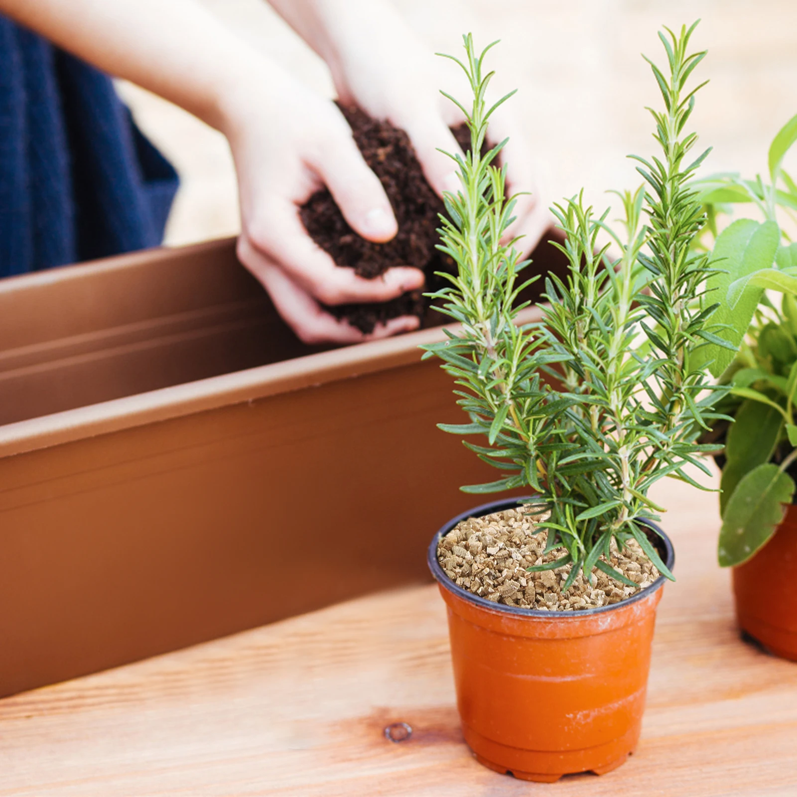 غرامة فيرميكوليت البستنة الفطر تزايد الركيزة بدءا حبيبات نمو النبات 3L PH محايد توسيع للإنبات