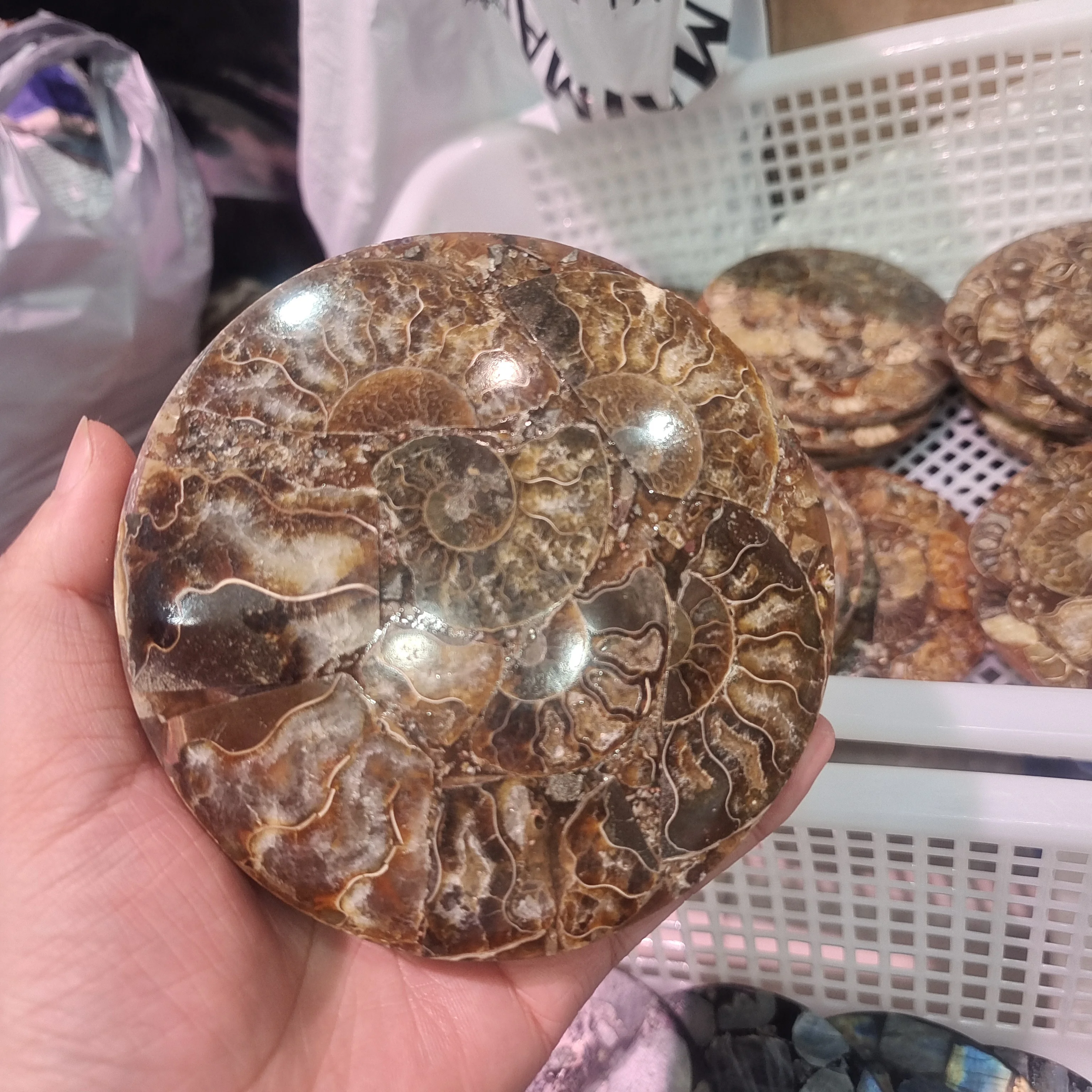 12-13cm Beautiful Ammonite Fossil Slice Plate MADAGASCAR FOSSIL SPECIMEN HEALING Fashion Home Decoration +bracket